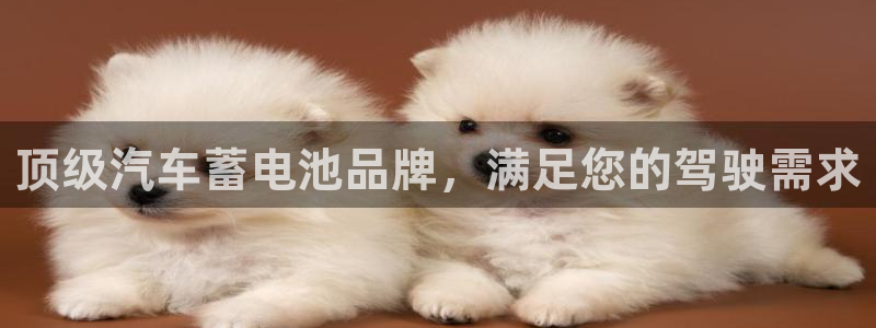 优发国际平台app下载安装