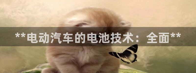 优发国际官方网手机版