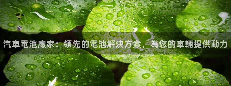 优发国际手机版客户端官网