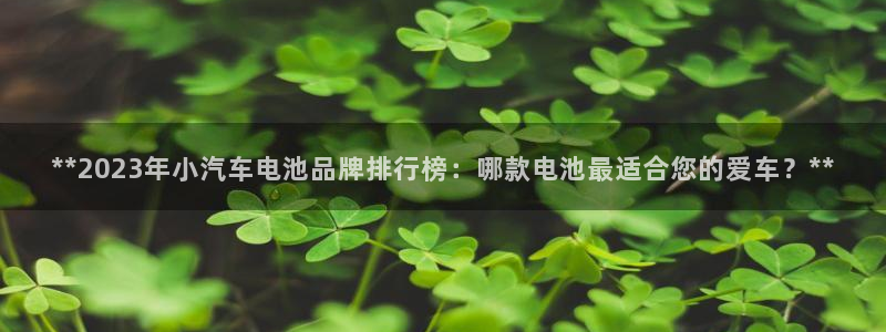 优发国际手机客户端下载不了