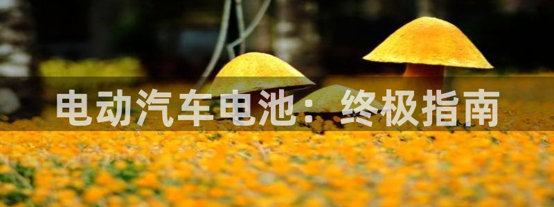 优发国际手机客户端下载安装苹果