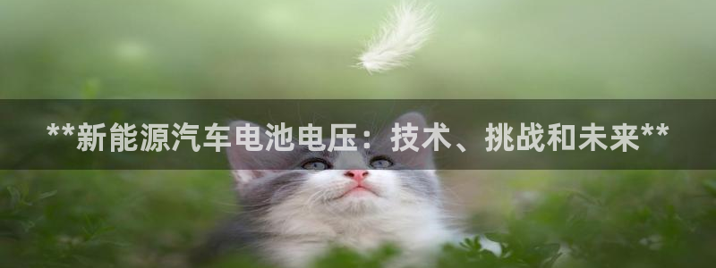优发国际网官网址是多少