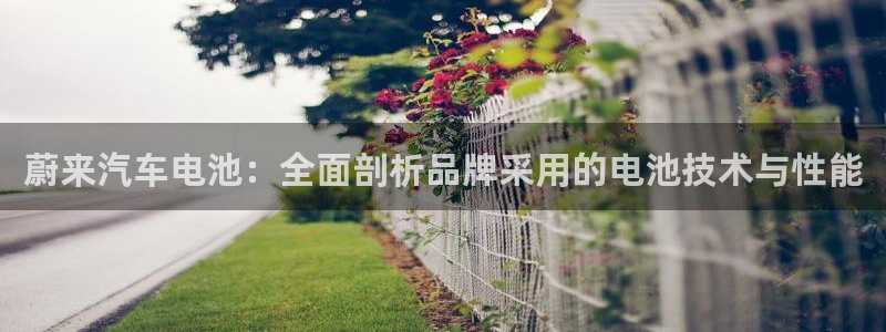 优发国际顶级
