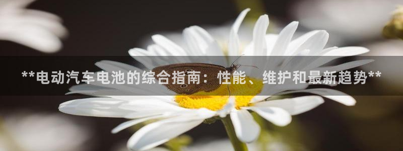 优发国际官网手机版代理