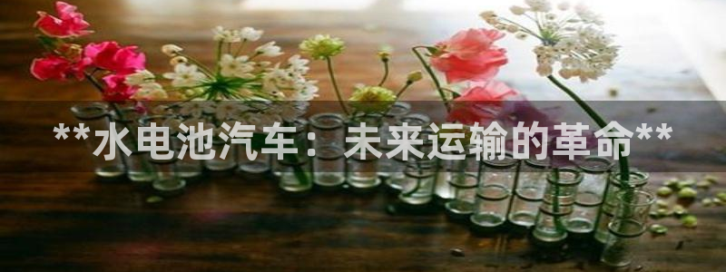 优发国际怎么样
