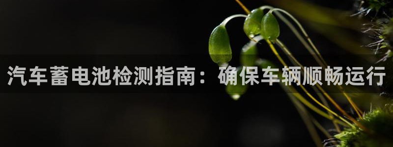 优发娱乐国际线上