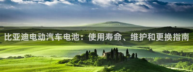 优发国际游戏n