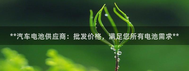 优发国际这个平台怎么样