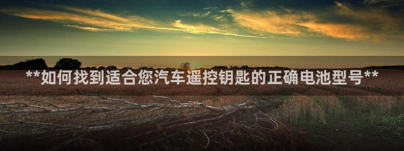 优发国际登陆