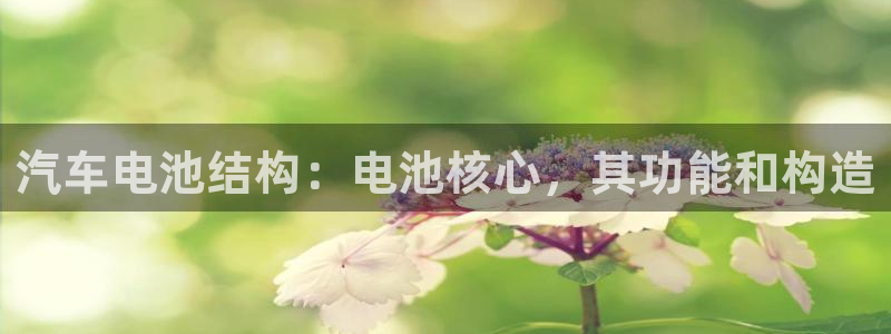 优发国际下载app