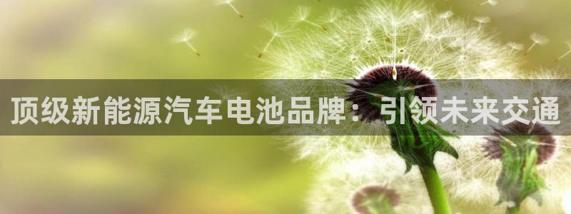 优发国际手机版网站登录