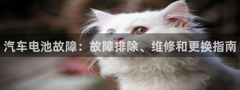 优发国际官网手机版下载安装