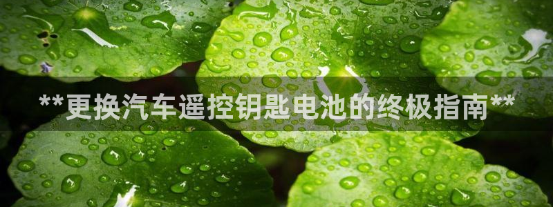 优发国际首页app