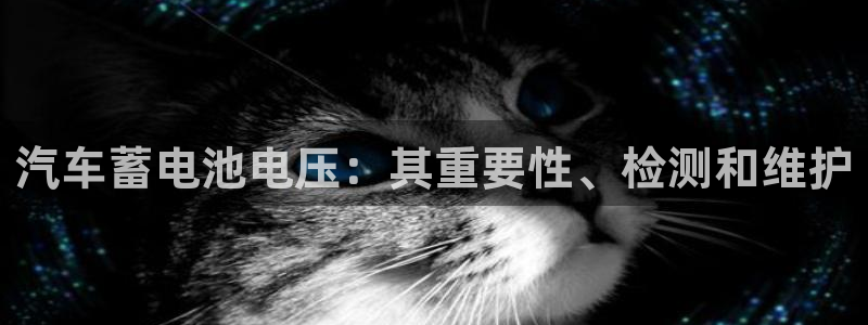优发国际是大平台吗还是小平