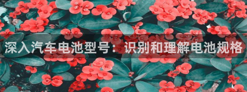 优发国际手机app下载安装苹果