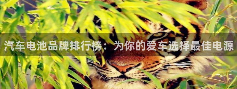 优发国际官网入口app下载苹果