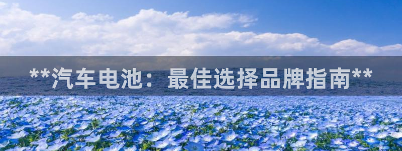 优发国际官网下载安装app
