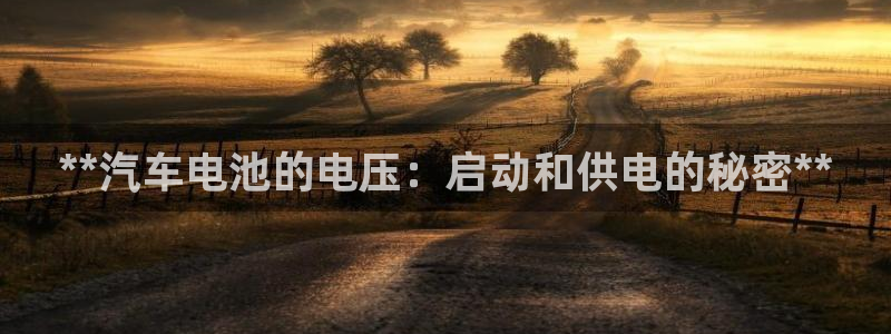 优发国际下载安装app