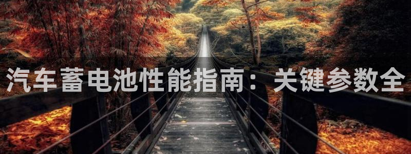 优发国际app官网下载安装手机版