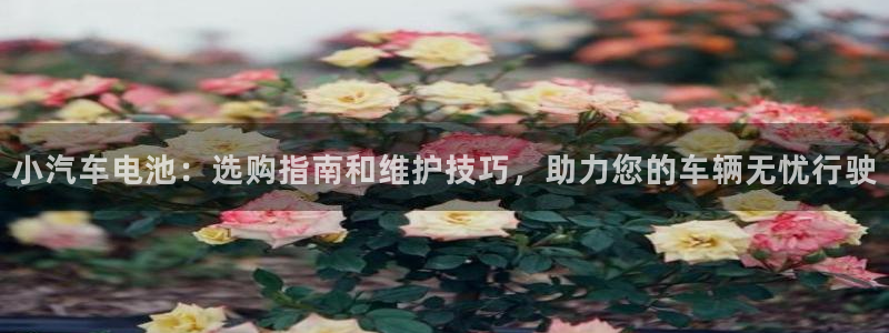 优发国际手机客户端下载
