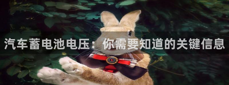 优发国际手机版下载安装