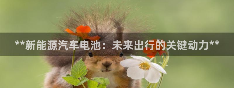 优发国际手机app下载安装最新版