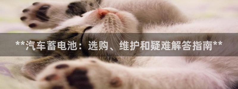 优发国际官方网手机版下载