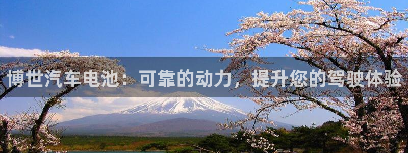 优发国际网官网17o8