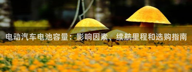 优发国际手机app下载安装苹果