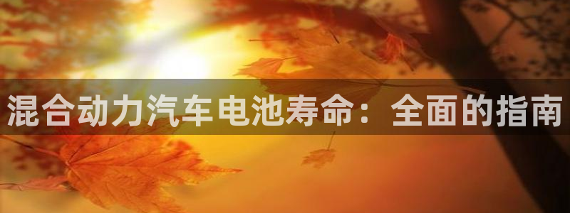优发国际是大平台吗知乎