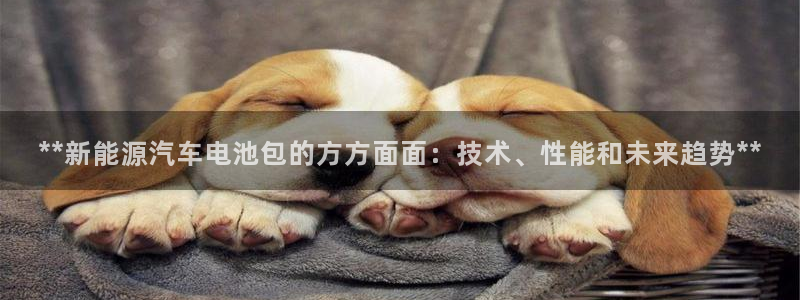 优发国际下载安装