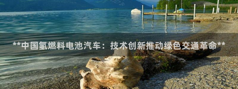 优发国际网站官网