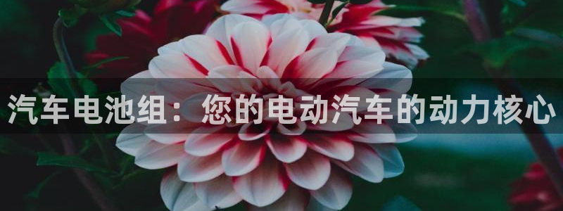 优发国际游戏17