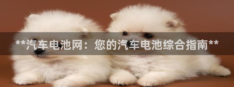优发国际集团股份有限公司