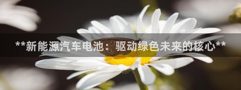 优发国际多少钱