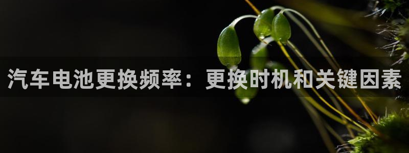 优发国际集团股份有限公司