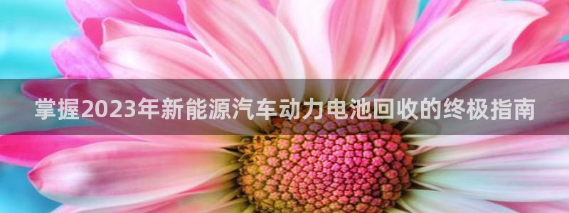 优发国际电话