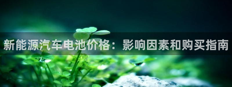 优发国际多少