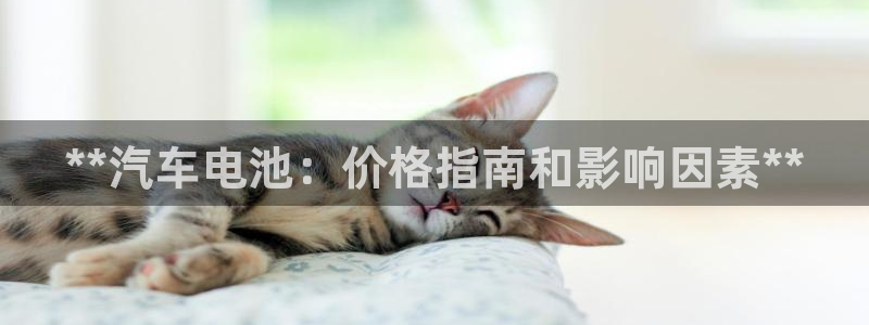 优发国际手机app下载地址