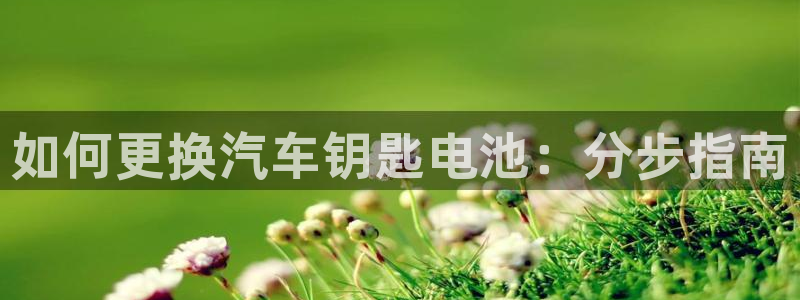 优发国际平台u8是什么公司