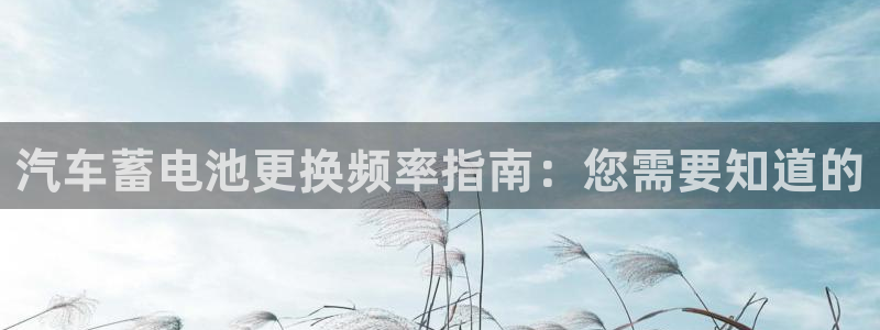 优发国际youfa966