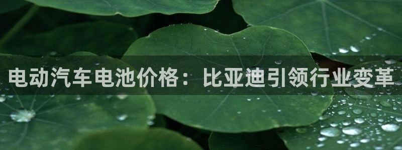 优发国际手机app下载安装苹果