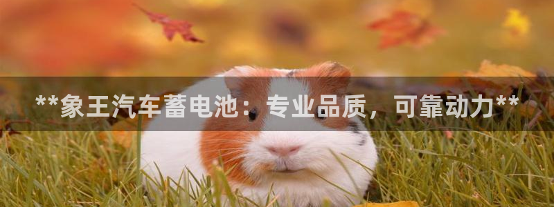 优发国际平台u8是什么