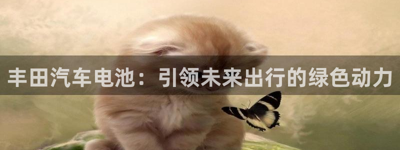 优发国际网站178
