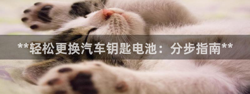 优发国际手机客户端下载