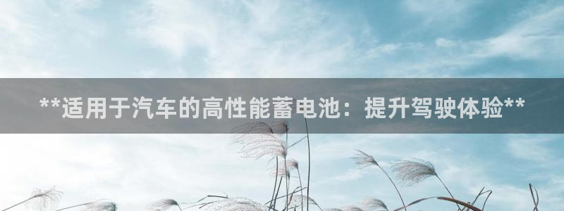 优发国际手机版客户端下载