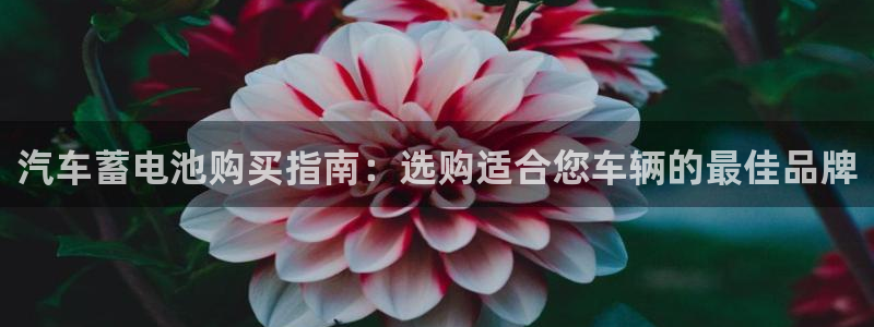 优发国际平台18岁能做吗