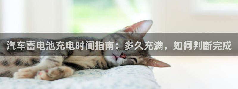 优发国际游戏17岁能玩吗
