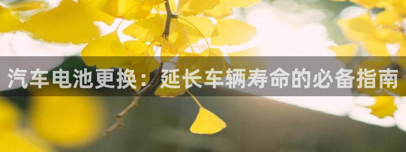 优发国际手机版唯一官网下载