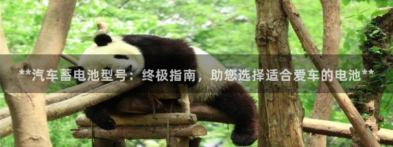 优发国际手机版官网入口